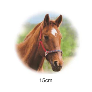Decalque Cavalo - 15cm