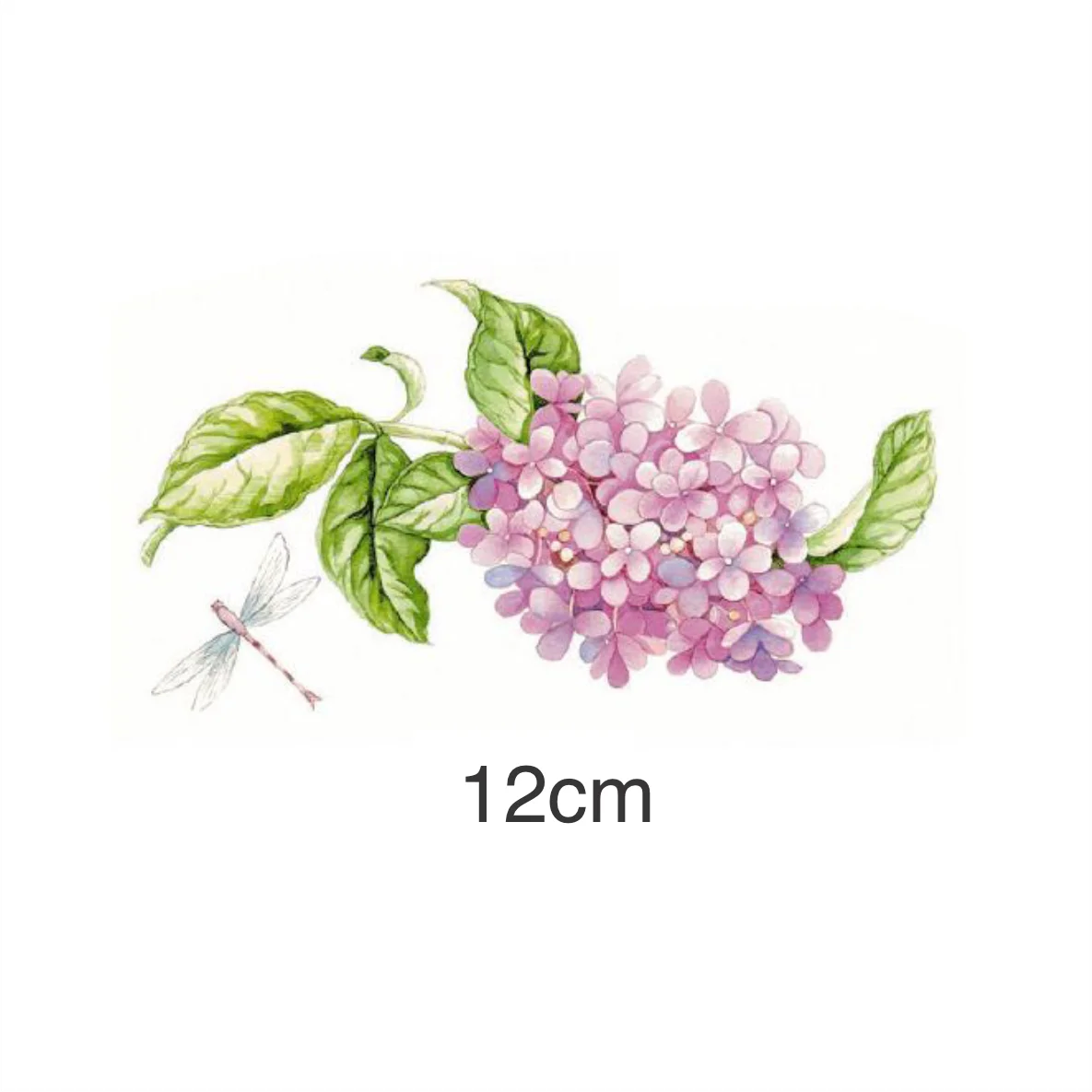 Decalques Hortênsia - 12cm