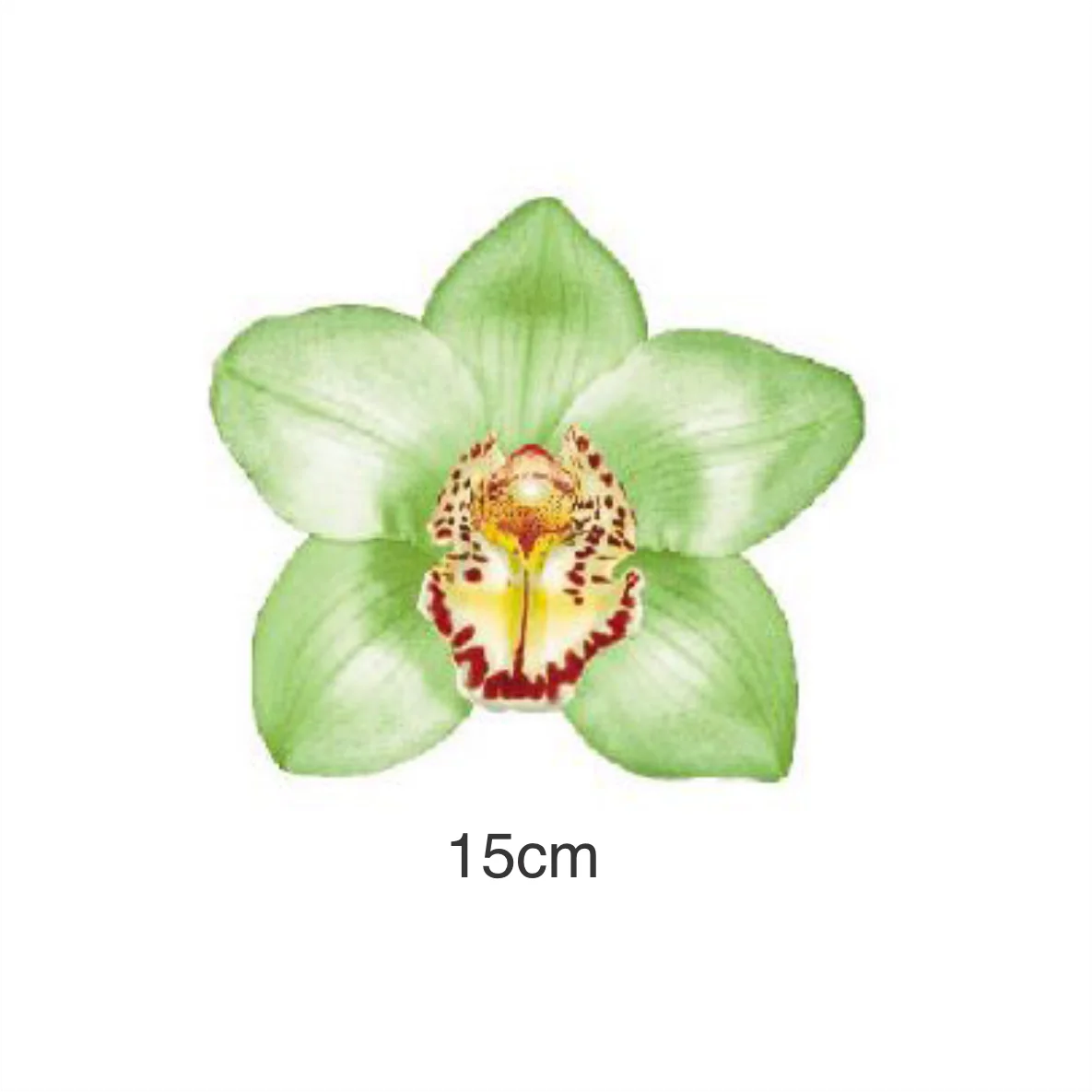 Decalques Orquídea Verde - 15cm