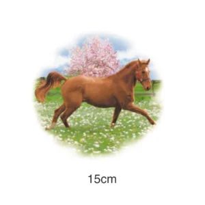 Decalque Cavalo 15cm - B