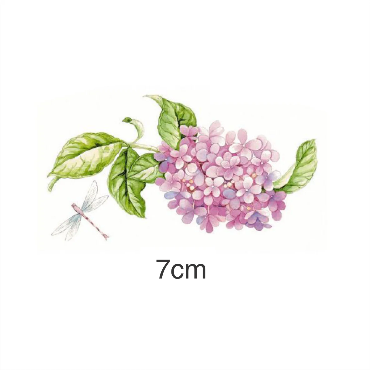 Decalques Hortênsia - 7cm