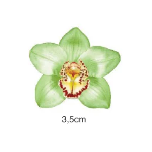 Decalques Orquídea Verde - 3,5cm