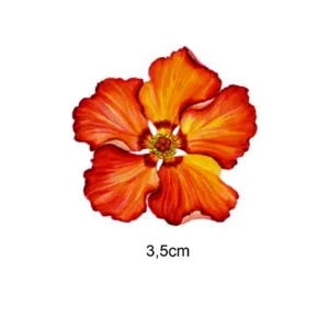 Decalques Hibisco - 3,5cm