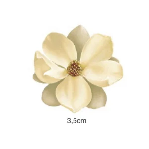 Decalques Magnolia - 3,5cm
