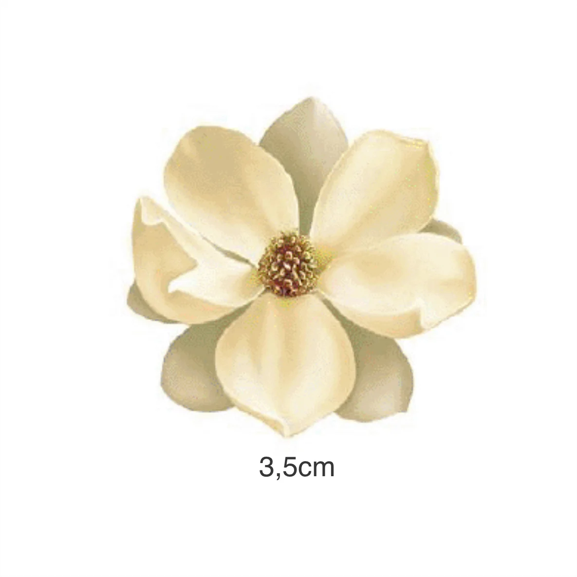 Decalques Magnolia - 3,5cm