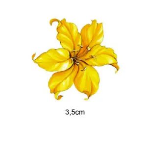 Decalques Flor de Âmbar - 3,5cm