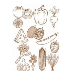 Decalques Frutas, Verduras e Legumes - Sépia