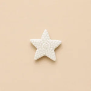 Aplique Estrela Bordada
