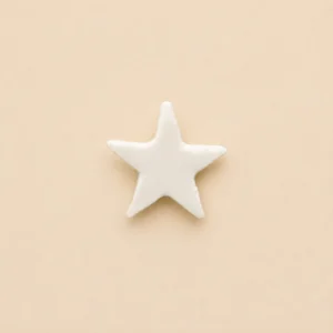 Aplique Estrela Lisa