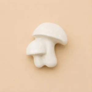 Aplique Cogumelo Duplo
