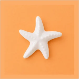 Aplique Estrela do Mar